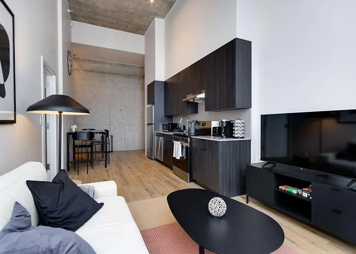 South Loop Rooftop With In And Out Parking 3 Appartement Chicago