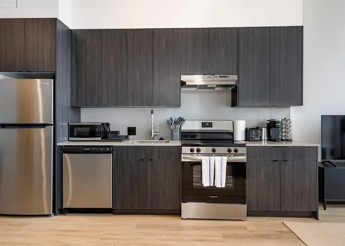 Appartement South Loop Rooftop With In And Out Parking 3 Chicago