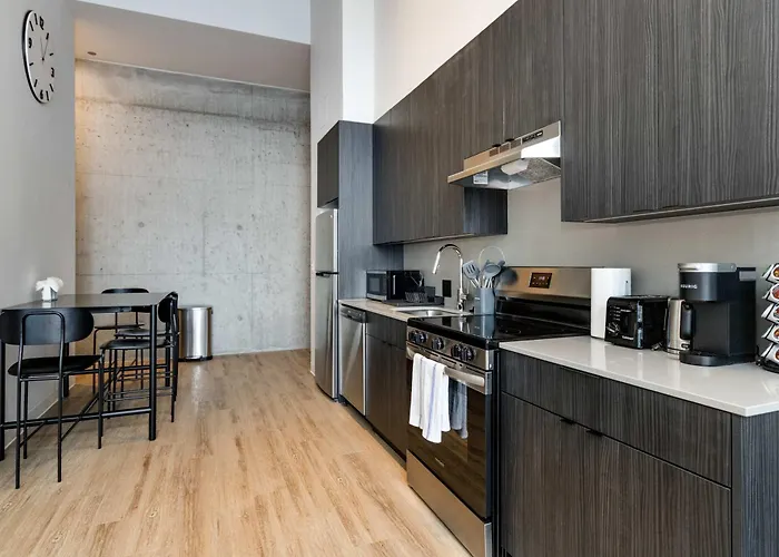 Appartement South Loop Rooftop With In And Out Parking 3