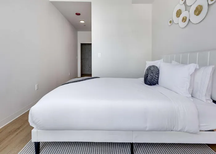 South Loop Rooftop With In And Out Parking 3 Appartement *