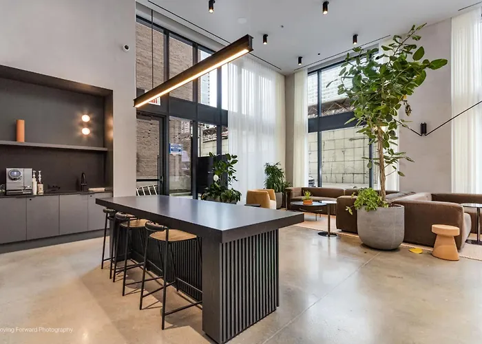 Appartement South Loop Rooftop With In And Out Parking 3 Chicago